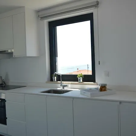 Biscuttela Vicentina * Praia da Arrifana