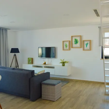 Biscuttela Vicentina * Praia da Arrifana