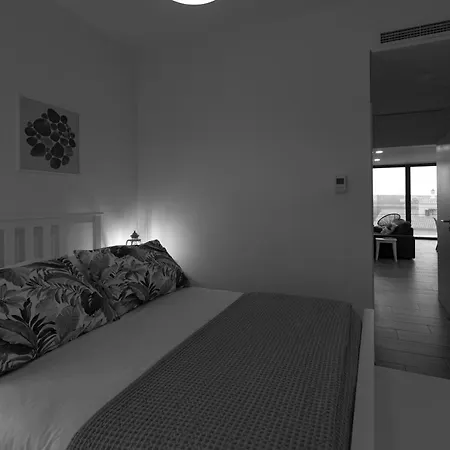 Biscuttela Vicentina Praia da Arrifana