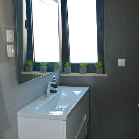 Biscuttela Vicentina Praia da Arrifana